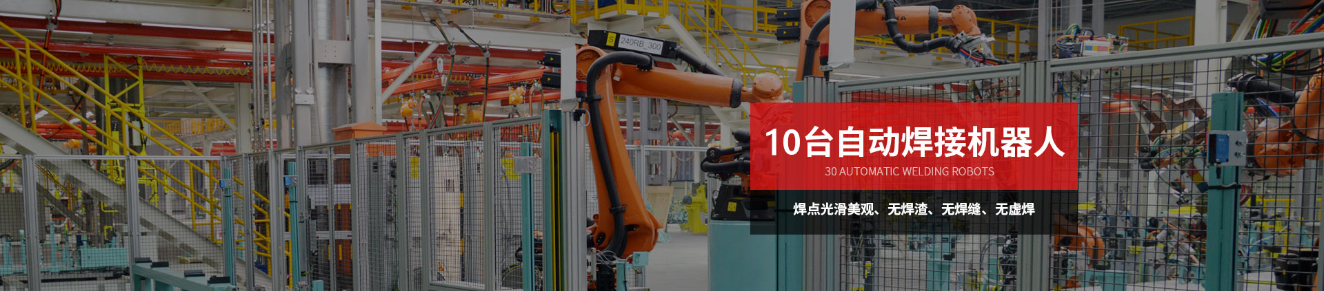 菠萝网站免费看物流机器-通用物流器具