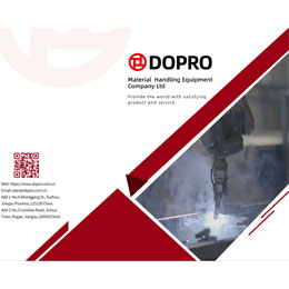 菠萝网站免费看宣传册英文版